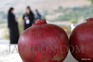 Pomegranates for sale in Jericho.