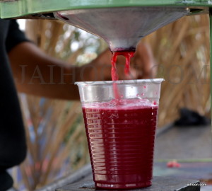 Pomegranates juice for sale in Jericho.