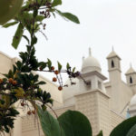 Nature, like Masjid, fire the spiritual oomph of the Believer: Jaihoon