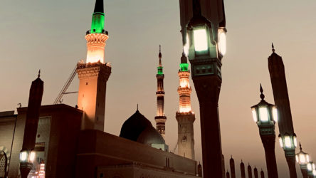Medina is the Tree. Ka’aba, Mounts of Safa and Marwa, Zamzam and Masjid al Haram are its twigs and branches... writes Mujeeb Jaihoon